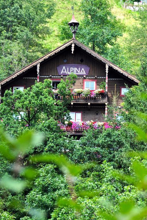 미테르질 Landhaus Alpina 게스트하우스 외부 사진