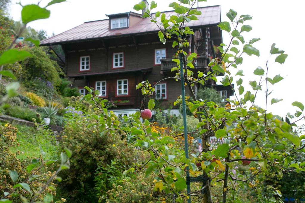 미테르질 Landhaus Alpina 게스트하우스 외부 사진